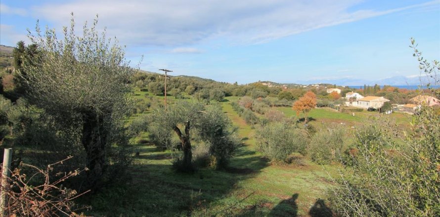 9000m² Land in Corfu, Greece No. 57650