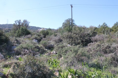 6048m² Land à Agios Nikolaos, Greece No. 57611 6