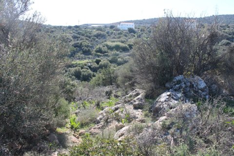 6048m² Land in Agios Nikolaos, Greece No. 57611 7