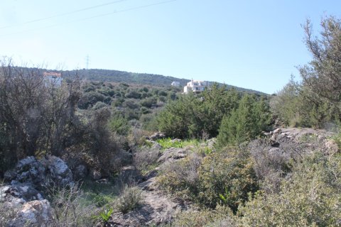 6048m² Land à Agios Nikolaos, Greece No. 57611 8