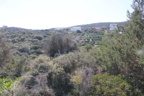 6048m² Land in Agios Nikolaos, Greece No. 57611 4