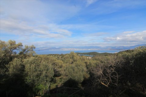 11000m² Land in Corfu, Greece No. 57647 1