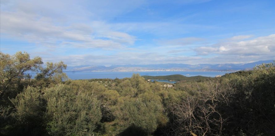 11000m² Land en Corfu, Greece No. 57647