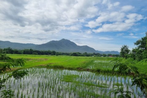 20 dormitorios Land en Chiang Mai, Thailand No. 1503 4