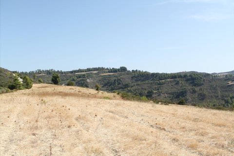 51000m² Land in Chalkidiki, Greece No. 60623 2