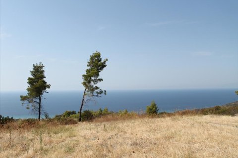 51000m² Land à Chalkidiki, Greece No. 60623 3