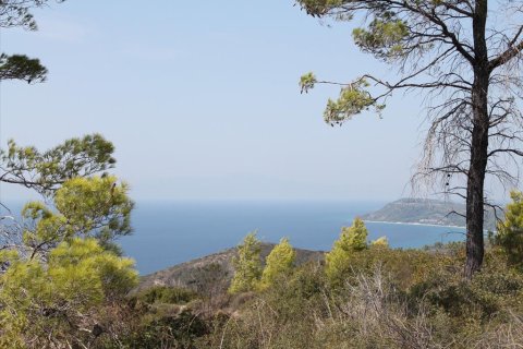 51000m² Land en Chalkidiki, Greece No. 60623 6