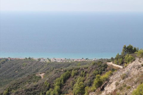 51000m² Land en Chalkidiki, Greece No. 60623 4