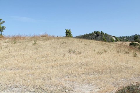 51000m² Land in Chalkidiki, Greece No. 60623 5