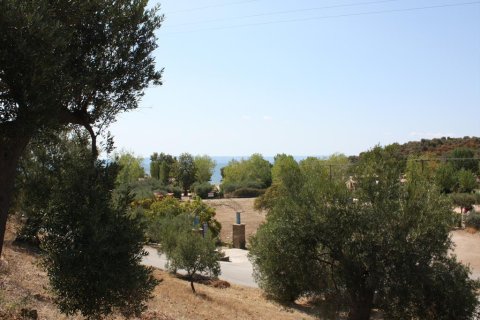 2654m² Land in Chalkidiki, Greece No. 60618 1