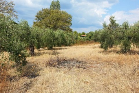 3780m² Land en Chalkidiki, Greece No. 60624 3