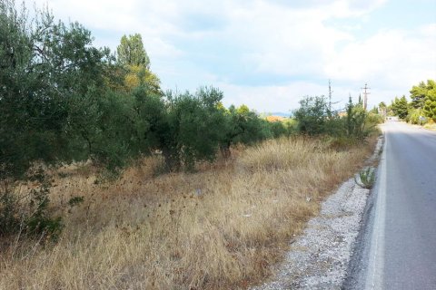 3780m² Land à Chalkidiki, Greece No. 60624 5