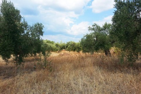 3780m² Land in Chalkidiki, Greece No. 60624 1