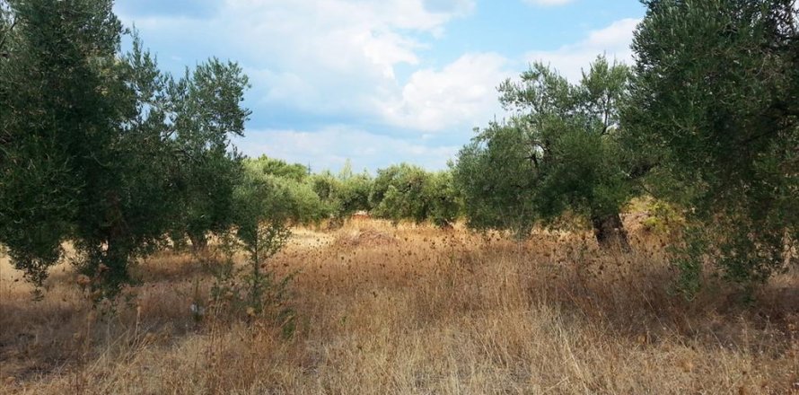 3780m² Land in Chalkidiki, Greece No. 60624