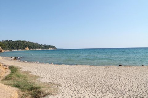 13500m² Land à Chalkidiki, Greece No. 60621 5