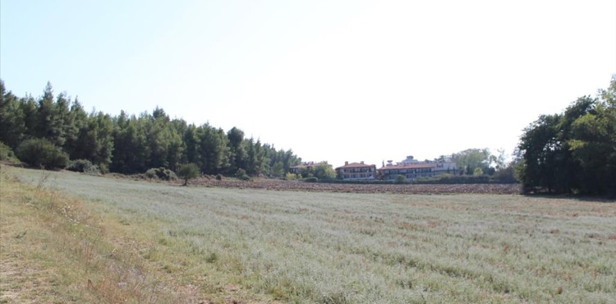 13500m² Land en Chalkidiki, Greece No. 60621