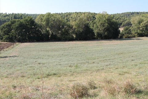 13500m² Land in Chalkidiki, Greece No. 60621 3