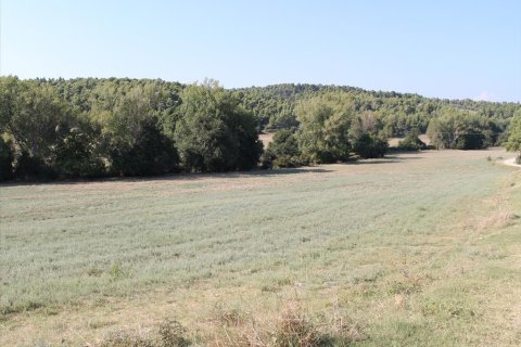 13500m² Land en Chalkidiki, Greece No. 60621 4