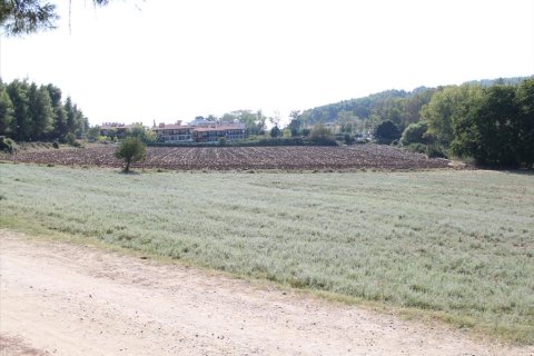 13500m² Land in Chalkidiki, Greece No. 60621 2