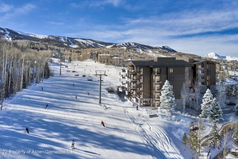 5 chambres Copropriété  à Snowmass Village, USA No. 62155 3