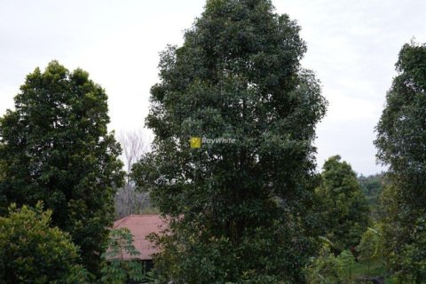 2 dormitorios House en Singaraja, Indonesia No. 23189 11