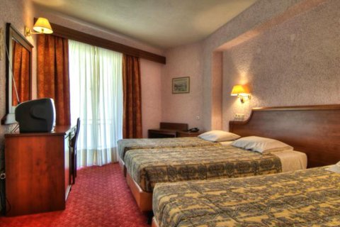 Hotel in Phocis, Greece No. 59141 10