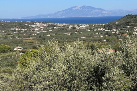 Land in Zakynthos, Greece No. 24547 8