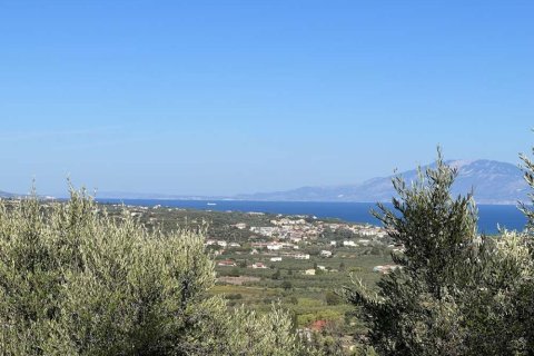 Land in Zakynthos, Greece No. 24547 12