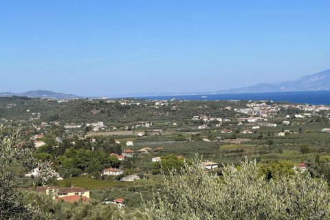 Land in Zakynthos, Greece No. 24547 11