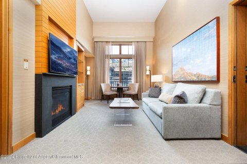 3 bedrooms Condo  in Snowmass Village, USA No. 75362 14