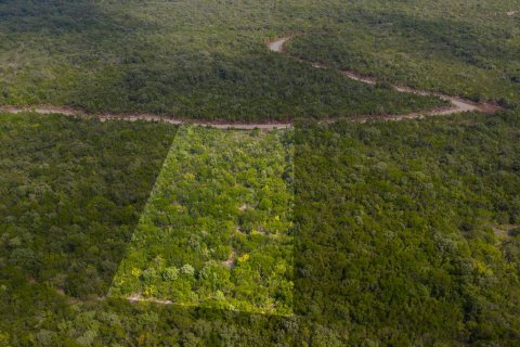 5006m² Land à Kotor, Montenegro No. 67027 1