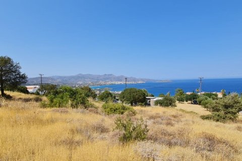 12765m² Land in Agios Nikolaos, Greece No. 56232 1