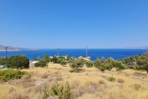 12765m² Land en Agios Nikolaos, Greece No. 56232 2