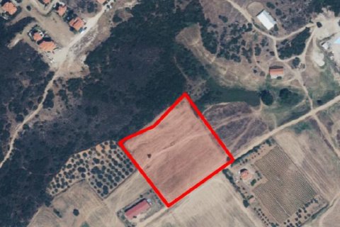 13000m² Land in Chalkidiki, Greece No. 56217 1