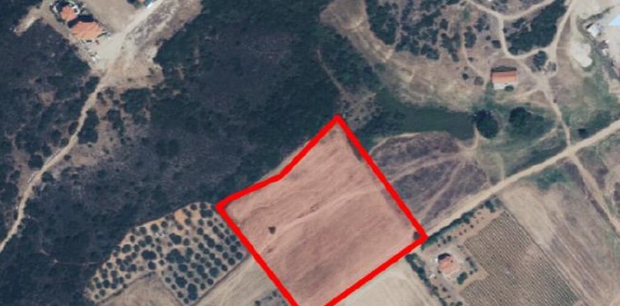 13000m² Land en Chalkidiki, Greece No. 56217