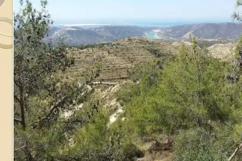 105633m² Land in Laneia, Cyprus No. 36285 1