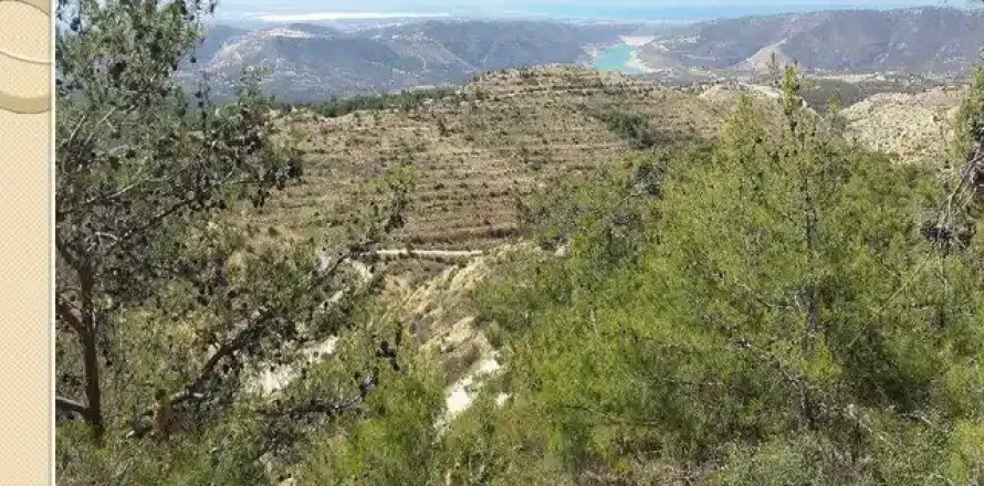 105633m² Land in Laneia, Cyprus No. 36285