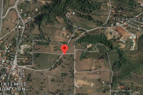 148000m² Land en Agios Stefanos, Greece No. 57688 1