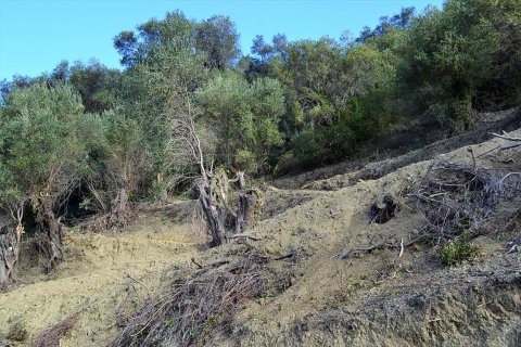 5200m² Land en Corfu, Greece No. 57685 13