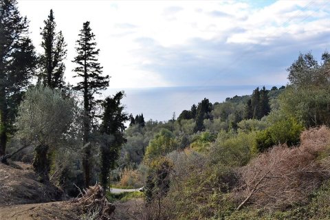 5200m² Land in Corfu, Greece No. 57685 12