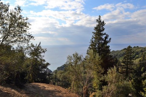 5200m² Land en Corfu, Greece No. 57685 2