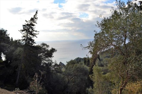 5200m² Land in Corfu, Greece No. 57685 15