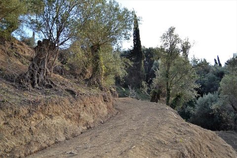 5200m² Land in Corfu, Greece No. 57685 14