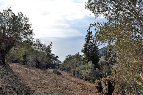 5200m² Land à Corfu, Greece No. 57685 17