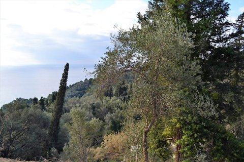 5200m² Land in Corfu, Greece No. 57685 16