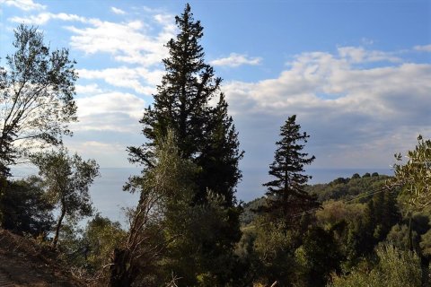 5200m² Land en Corfu, Greece No. 57685 6