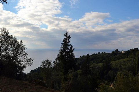 5200m² Land in Corfu, Greece No. 57685 3