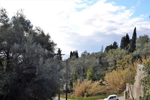 5200m² Land en Corfu, Greece No. 57685 10