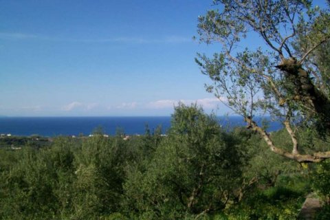 Land in Zakynthos, Greece No. 28078 8