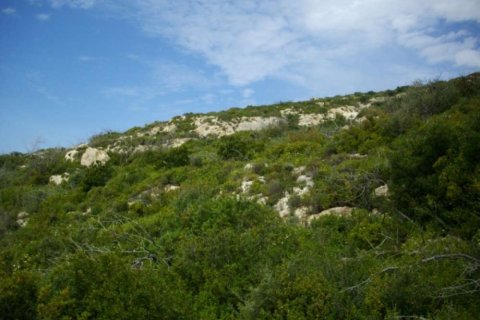 Land in Zakynthos, Greece No. 28079 4